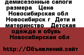 демисезонные сапоги 22размера › Цена ­ 1 000 - Новосибирская обл., Новосибирск г. Дети и материнство » Детская одежда и обувь   . Новосибирская обл.